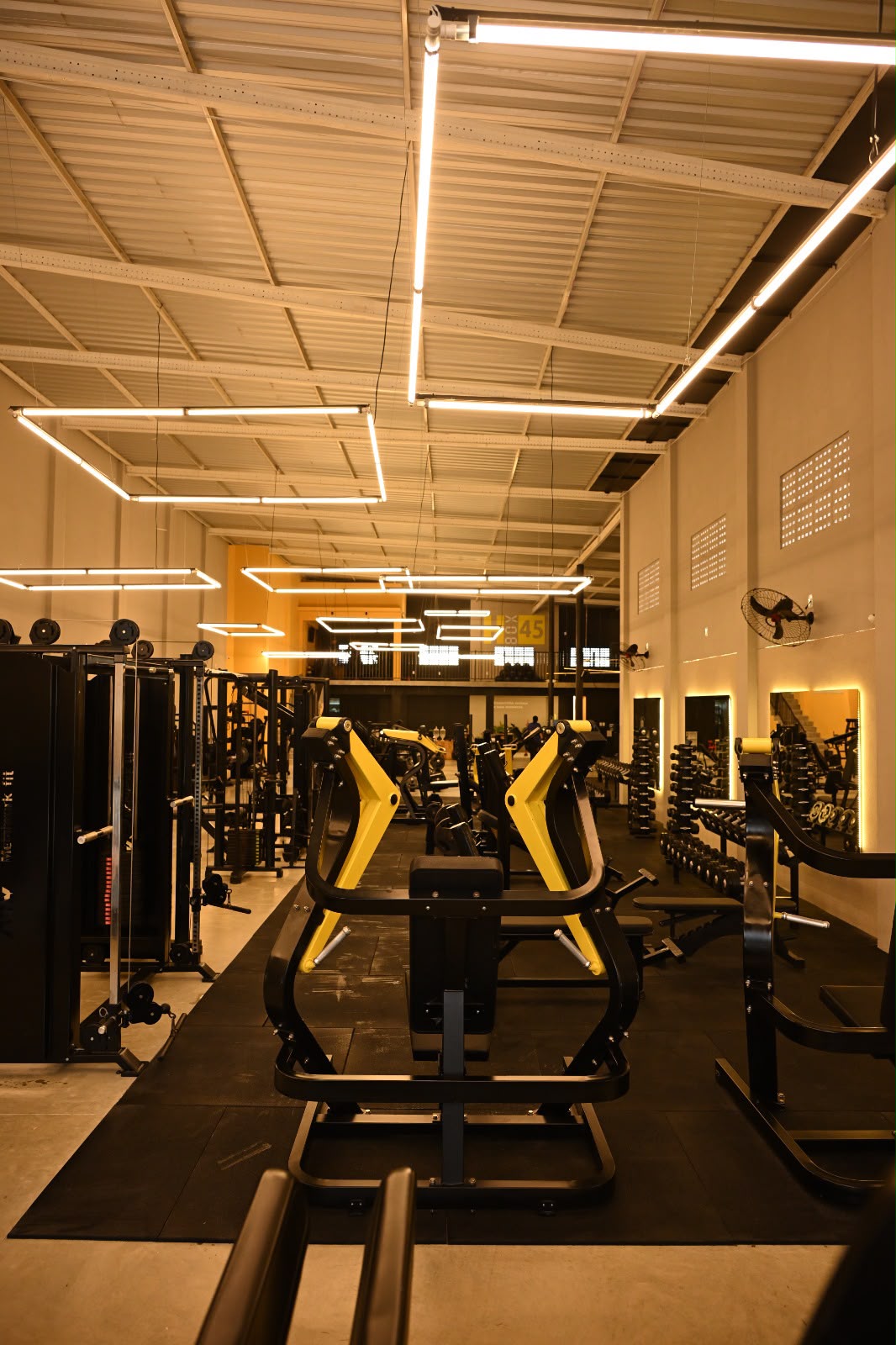 Equipamentos de musculação novos